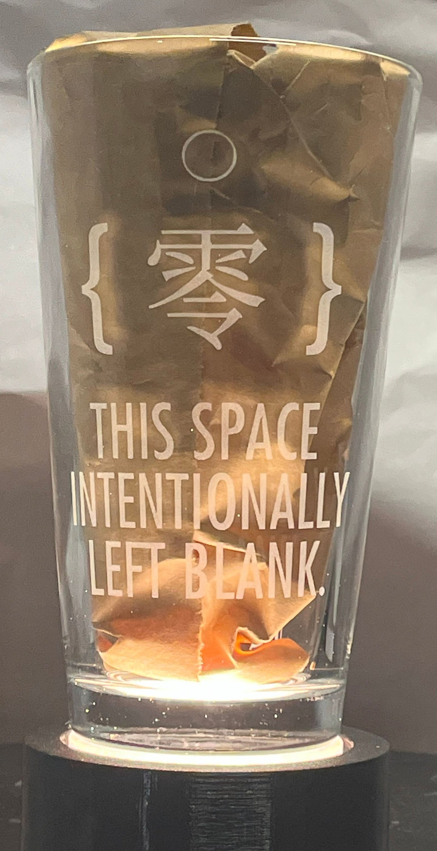 Signalis - Elster | Etched Pint Glass